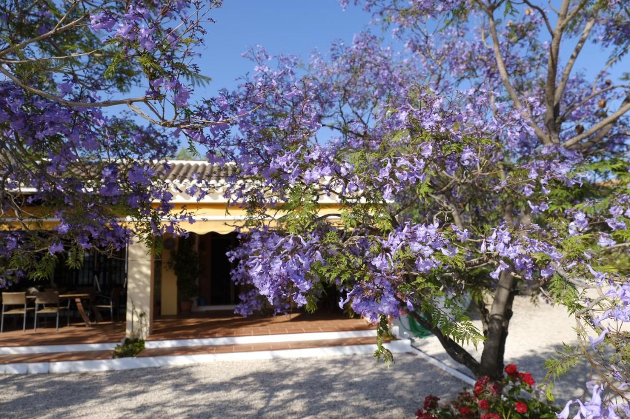 Finca Gordo Ríogordo Dış mekan fotoğraf