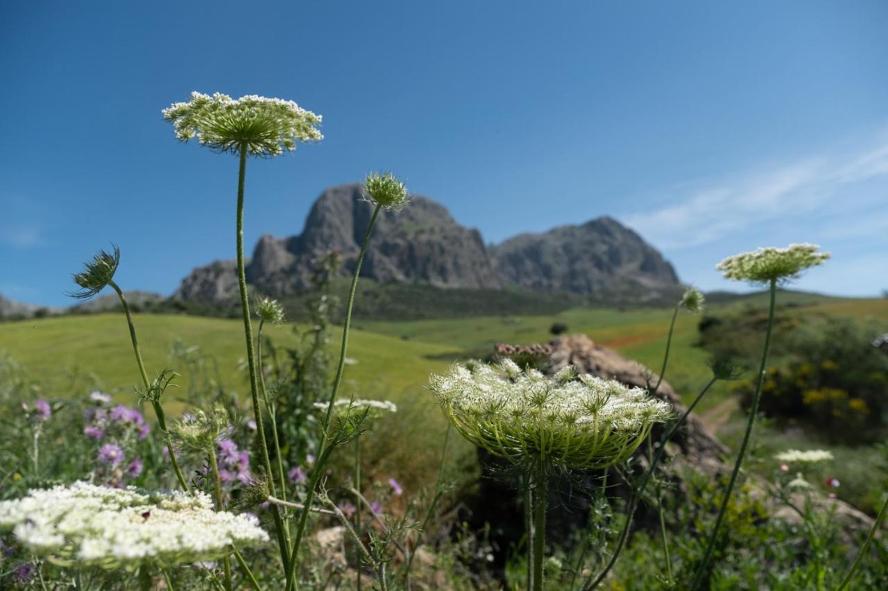 Finca Gordo Ríogordo Dış mekan fotoğraf